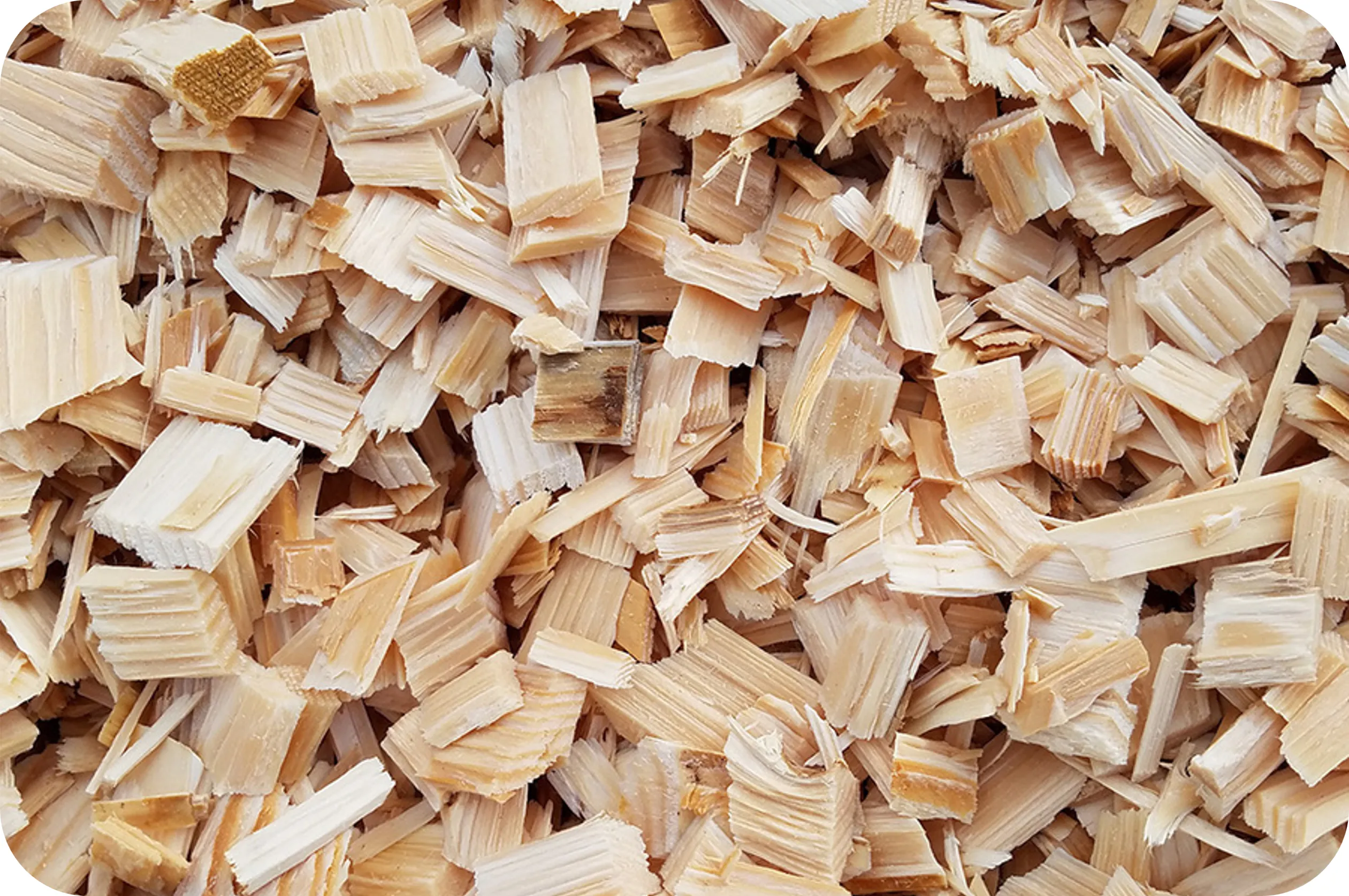 Dăm gỗ là gì. Dăm gỗ ứng dụng trong lĩnh vực nào